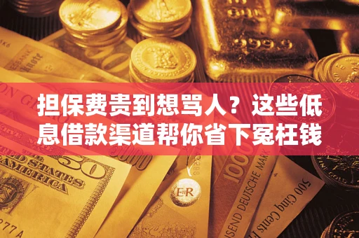 济南担保费贵到想骂人？这些低息借款渠道帮你省下冤枉钱