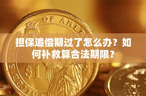 济南担保追偿期过了怎么办？如何补救算合法期限？