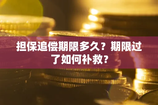 济南担保追偿期限多久？期限过了如何补救？