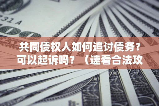 济南共同债权人如何追讨债务？可以起诉吗？（速看合法攻略）