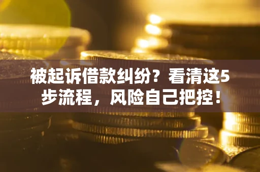 济南被起诉借款纠纷？看清这5步流程，风险自己把控！